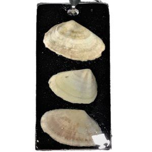 NWOT Resin Seashell Pendant, Black Resin Necklace
